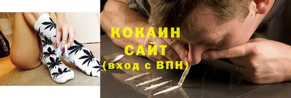 МДПВ Бородино