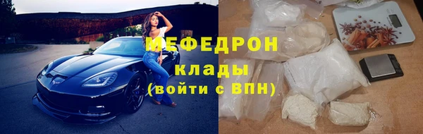 МДПВ Бородино