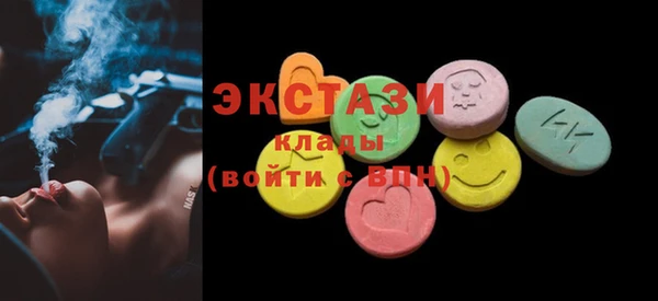 МДПВ Бородино
