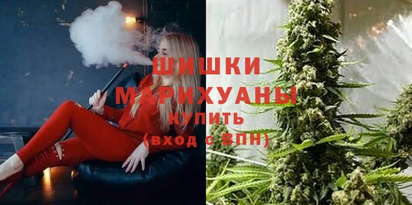 трава Няндома