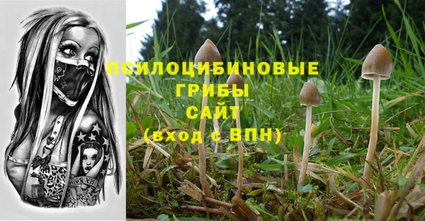 трава Няндома