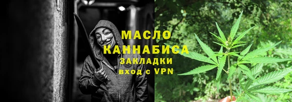 МДПВ Бородино
