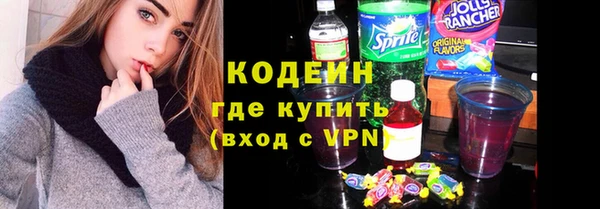 МДПВ Бородино